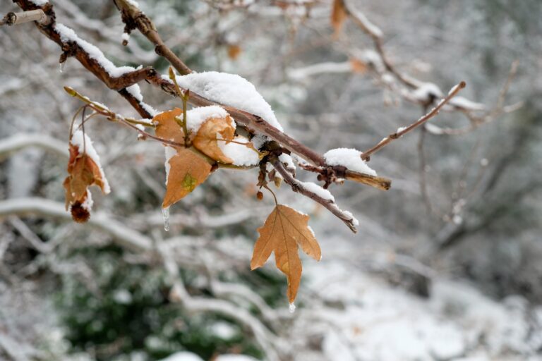 Protect employees this winter by providing tips to them on how to handle the cold