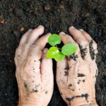Conservation is represented by hands planting a bud into the soil.
