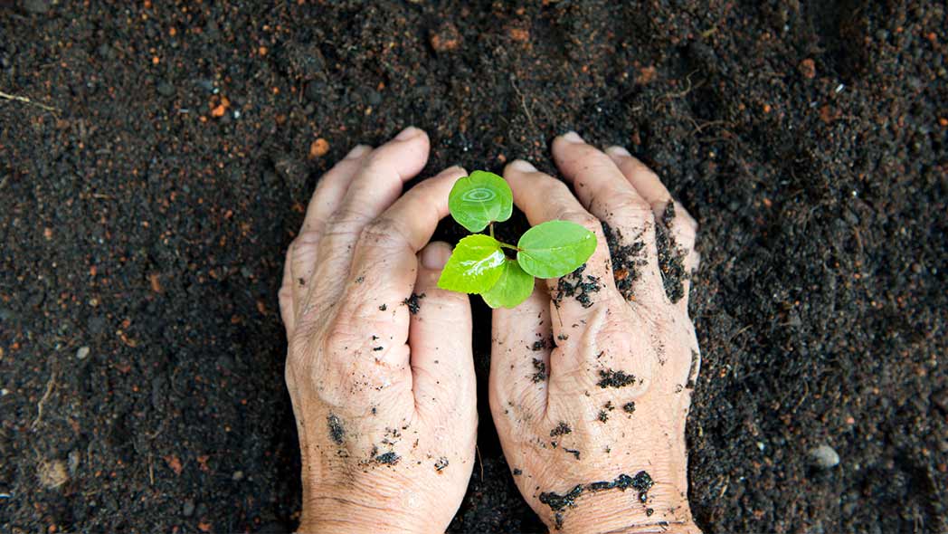 Conservation is represented by hands planting a bud into the soil.
