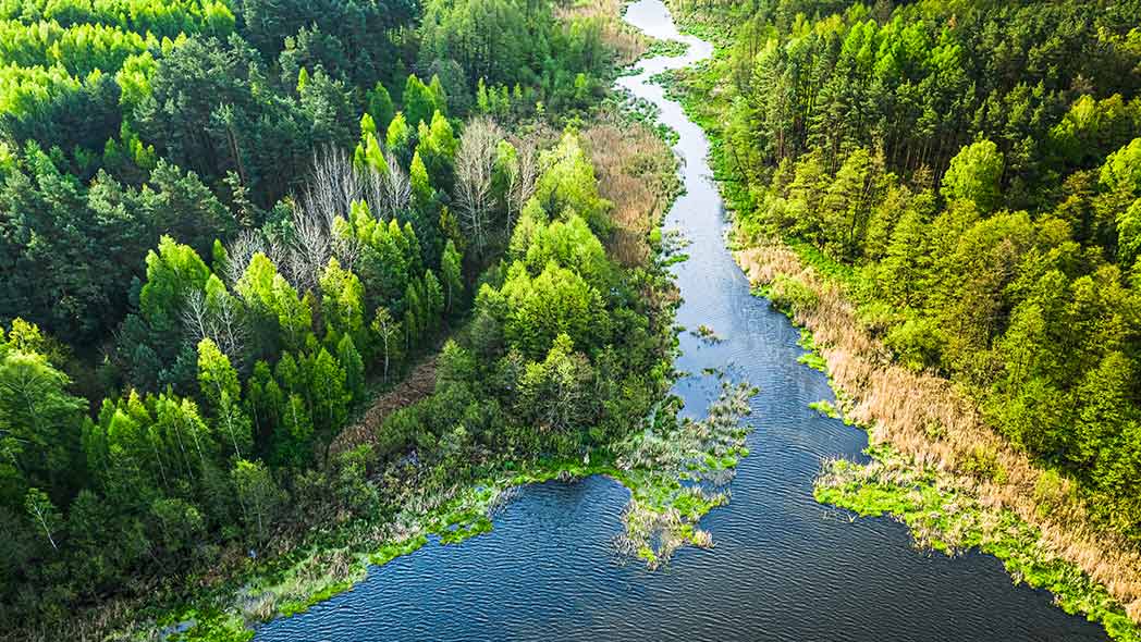 Plan published by UK environmental department in 2026.