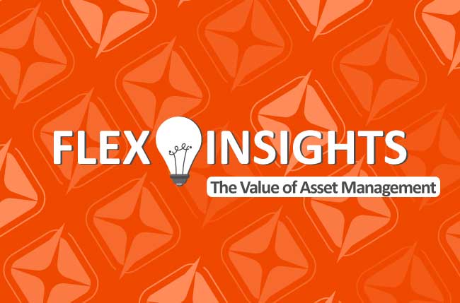 Asset managment is discussed by members of the FlexManager team as a key strategic tool for success.